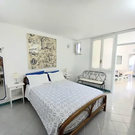 Daire Blue Line House *